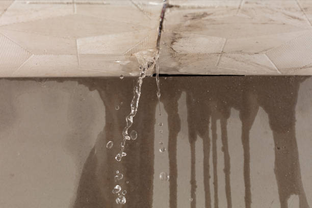 Professional Structural Drying technician working in Leesville, TX